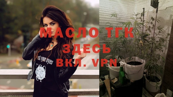 молекула духа Алексеевка
