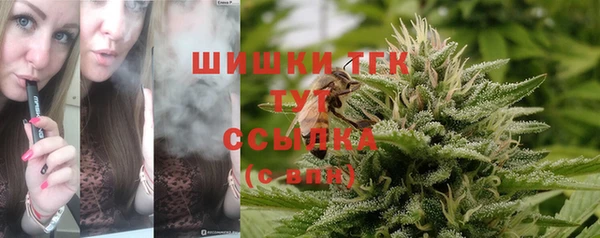 молекула духа Алексеевка