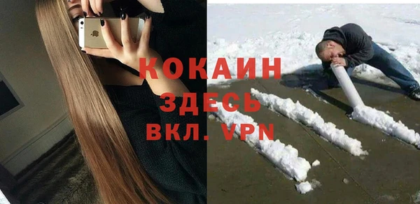 молекула духа Алексеевка